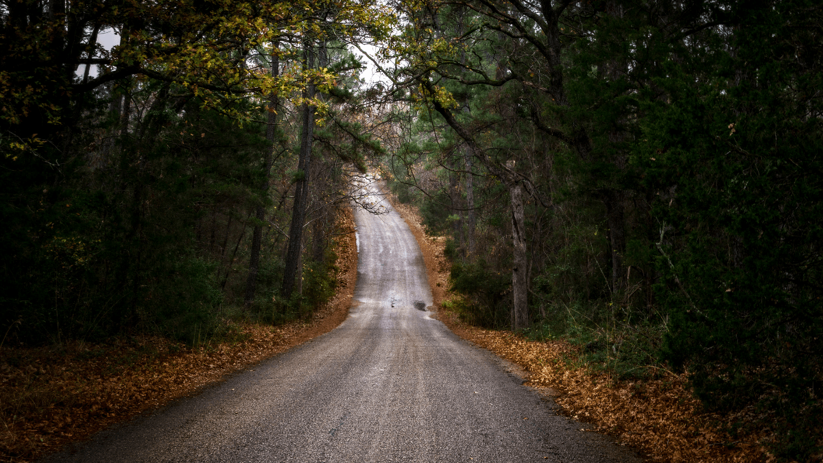 The Road Less Travelled