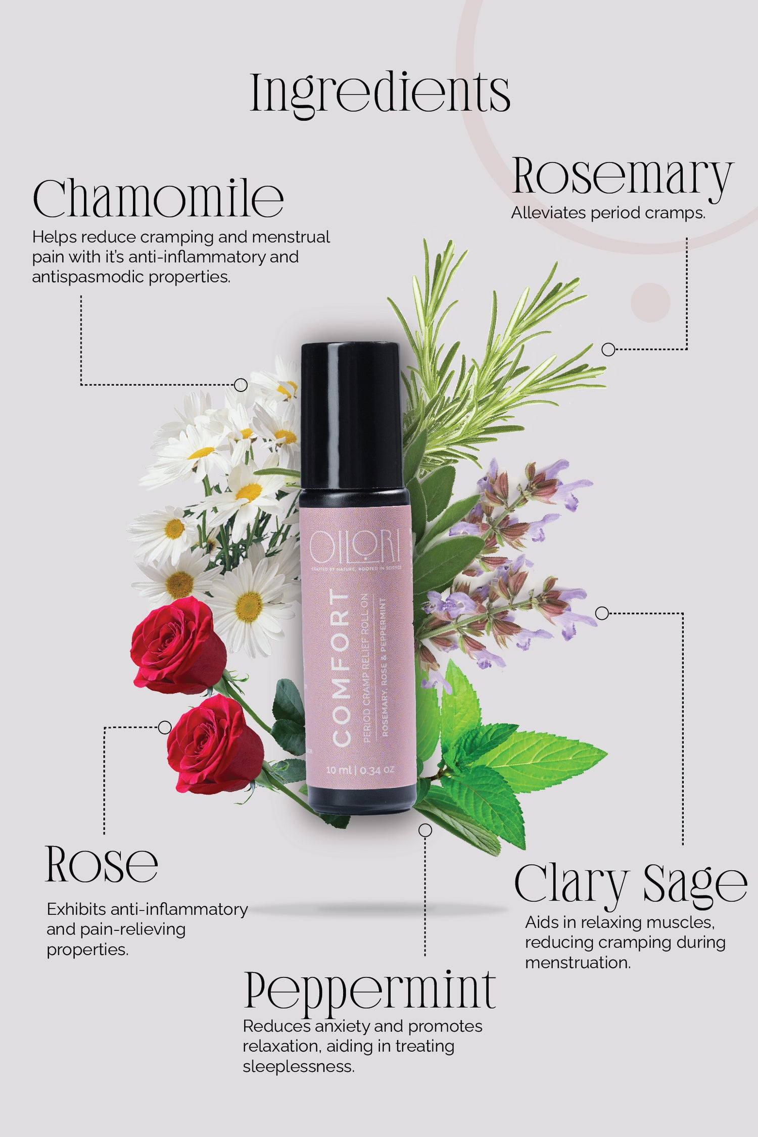 Comfort - Pain Relief for Period Cramps - Immediate Support for Period Pain, Stomach Cramps and Back Ache - Rosemary, Rose, Peppermint - 10ml image 2