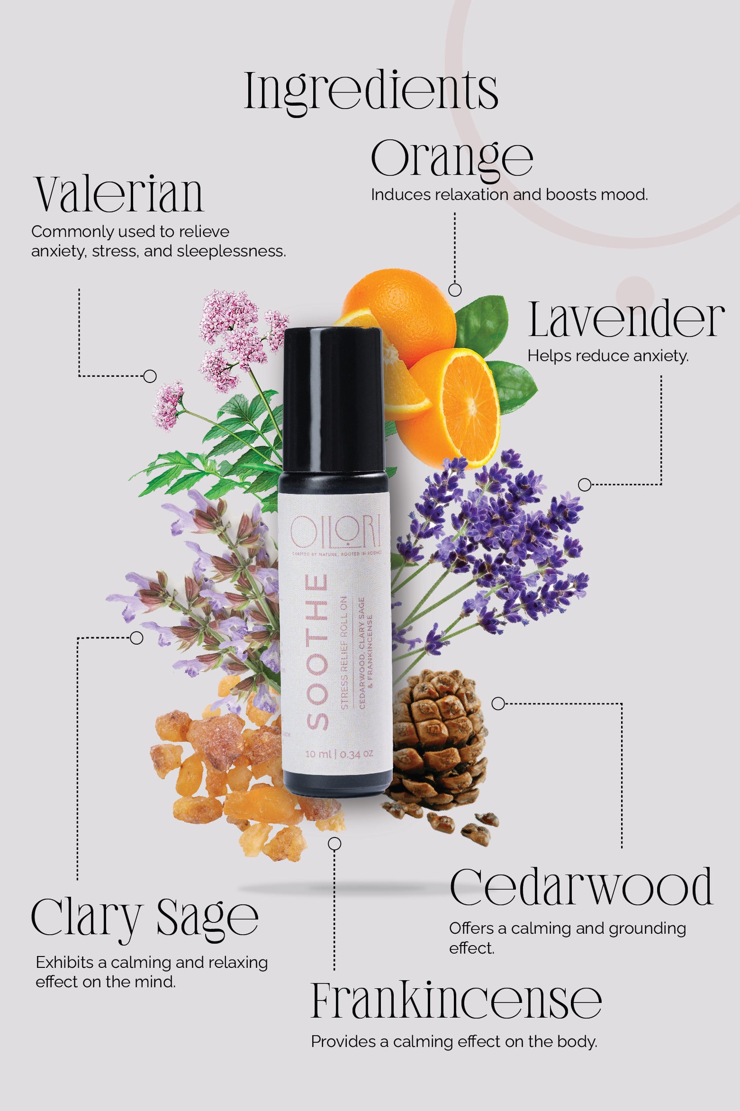 Soothe - Stress Relief Roll On - Reduces Anxiety and Calms Nerves - Cedarwood, Clary Sage, Frankincense - 10ml image 4