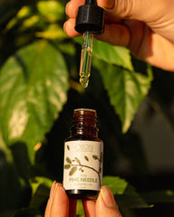 Hand holding a Oilori 10ml bottle of pure pine needle essential oil with a dropper over natural green leaves background.