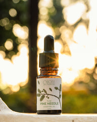 Oilori 10 bottle of pure pine needle essential oil with a blurred natural background.
