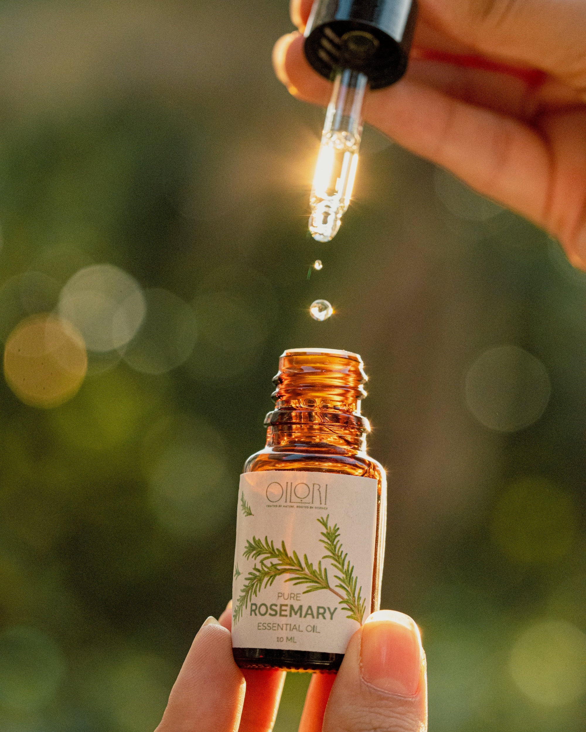 Pure Rosemary Essential Oil thumbnail 3